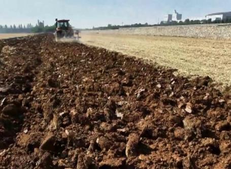 供销系统全力保障“三秋”生产 做好秋冬种农资供应和化肥储备