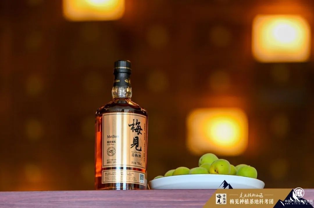 梅见十年：一场低度酒赛道发展的“样本答卷”