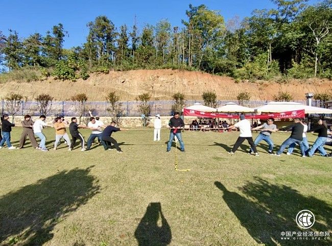 武汉东西湖烟草：举办“强体魄 健身心 创未来”趣味运动会活动