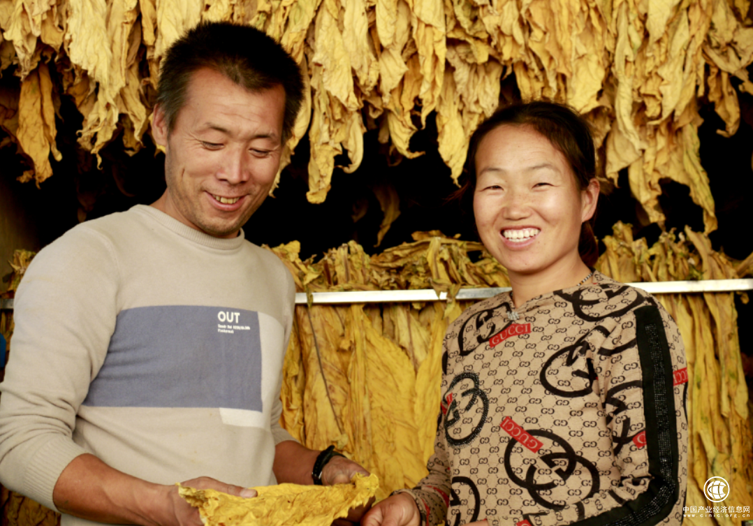 陕西咸阳市旬邑县“80后”夫妇的乡村振兴路