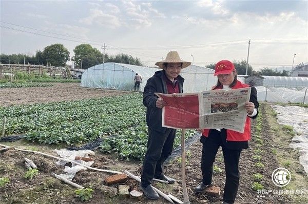 浙江嵊州市烟草专卖局：志愿普法“心连心” “香溢”助农促增收