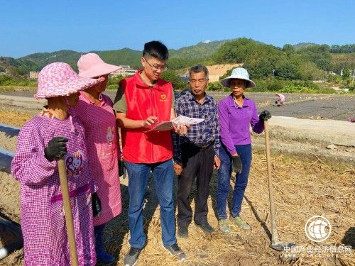 “志愿”力量绘就新时代文明画卷