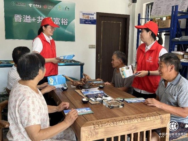 浙江新昌：以农网建设助力乡村振兴