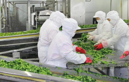 便捷高效丰富生活场景 标准化体系待建立——预制菜产业发展观察