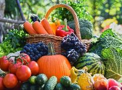 从“电商大促”看农产品消费新趋势