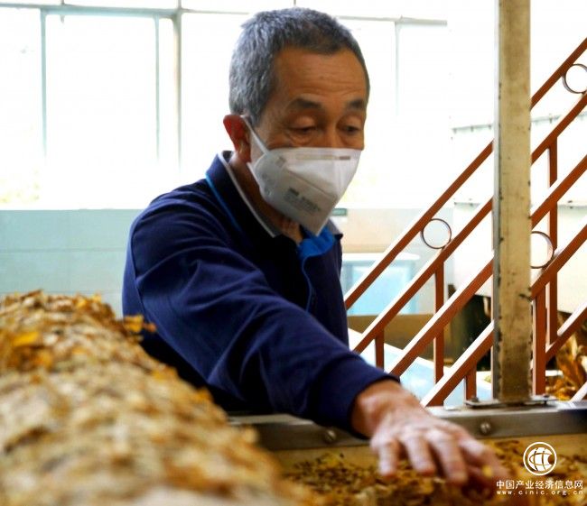 李本林：把坚守当做人生信条