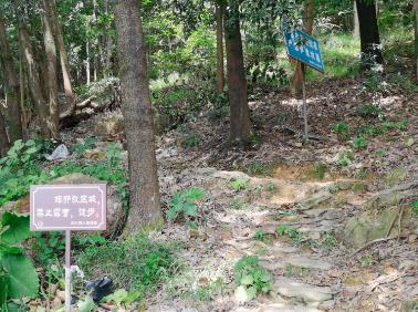 切实加强对“野景点”监管