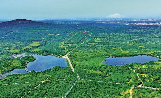 “三北”工程三大标志性战役开局顺利