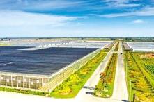 内蒙古：牢牢抓住科技创新这个“牛鼻子”