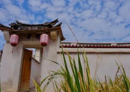 福建：持续加强古厝古建筑保护与活化利用