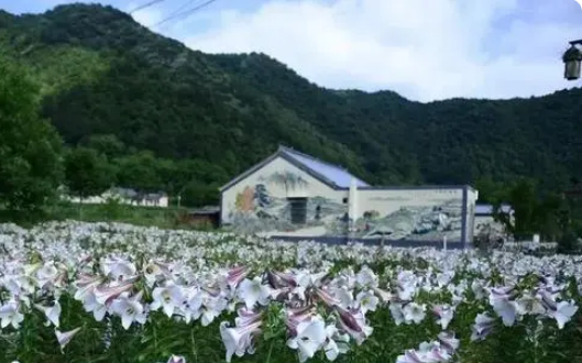 秦岭深处绽新绿——航天科技助力乡村振兴观察