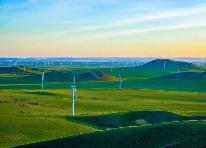 内蒙古：创新体制机制为转型发展赋能