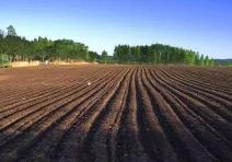 吉林省黑土地保护性耕作面积居全国第一位