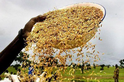 联合国粮农组织首发应对气候变化产业路线图