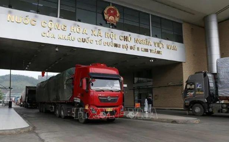 11月贸易规模创月度历史新高 中越经贸合作亮点纷呈