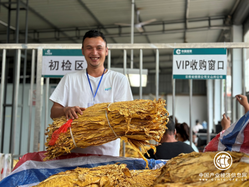 鲁明辉：烟田里蹚出幸福路