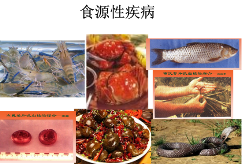 我国食源性疾病暴发事件数量下降11%