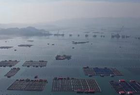 福建：创新金融科技手段 赋能乡村振兴