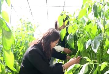 量足价稳！各地多举措保障 守护好百姓“菜篮子”“果盘子”“米袋子”