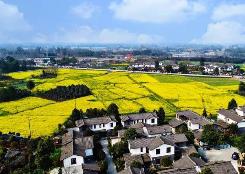 四川：持续加强农村信用体系建设 为乡村振兴添砖加瓦