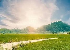 用好政策“组合包”“工具箱” 强化旅游产业用地保障