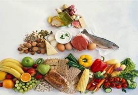 2023年中国食物与营养发展报告发布