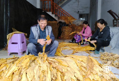 湖北利川：驻村工作队倾情为民 是咱群众贴心人