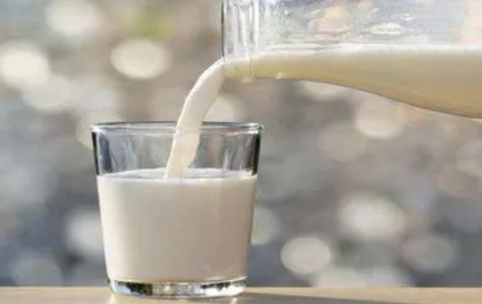 广西南宁：着力提升 “中国水牛乳之都”美誉度和影响力