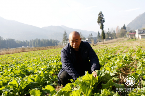 杜戴锋：难舍家乡故土情 梦圆沃野创业路