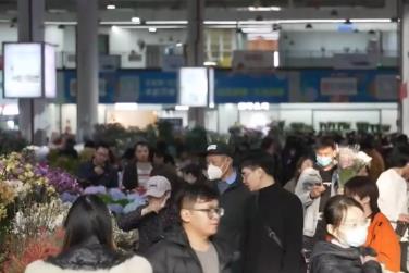 年货市场消费旺、“菜篮子”供得上 确保群众欢乐祥和过节