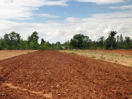 第三次全国土壤普查高质高效推进