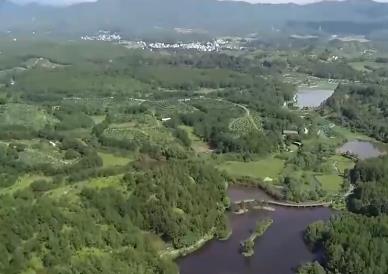 全国首单水土流失区林业治理碳汇保险落地福建长汀