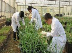 精品教材助高等农林教育迈上新台阶