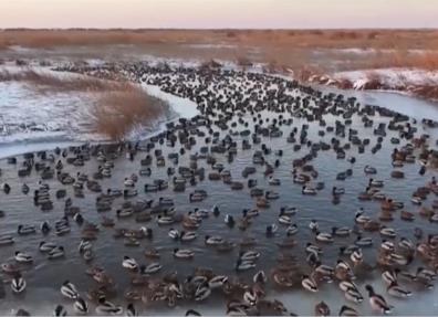 生态保护工作多管齐下“多姿多彩” 美丽中国画卷徐徐展开