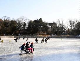多所高校官宣开放校园 大学冰场假期迎来市民打卡