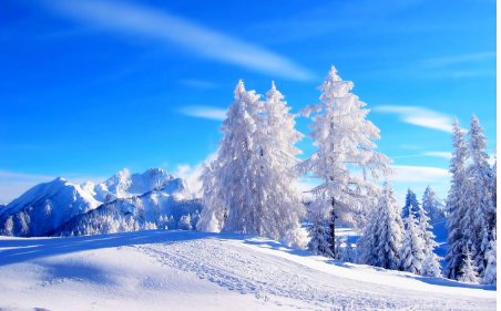 “南北互跨游”点燃冬季旅游消费热情