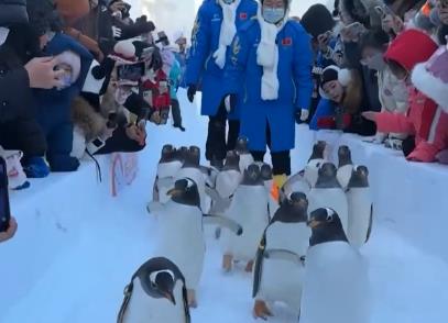 打造消费热点 盘活冰雪“冷资源” 各行业释放经济活力