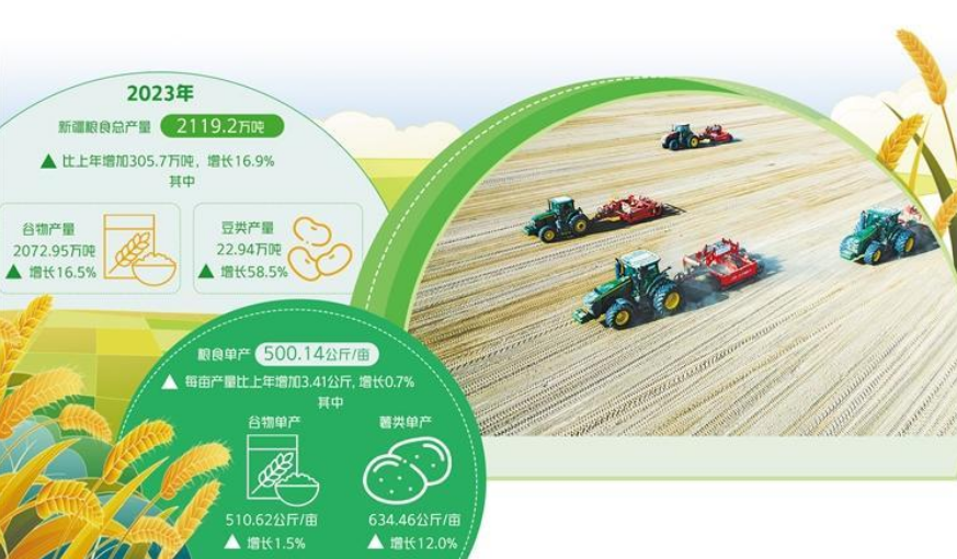 探寻新疆粮食丰产密码