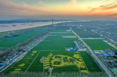 水利部公布第一批通过水利部标准化管理评价的大中型灌区、灌排泵站名单