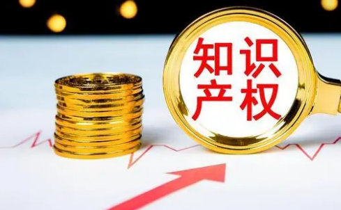 知识产权数据映射中国经济活力