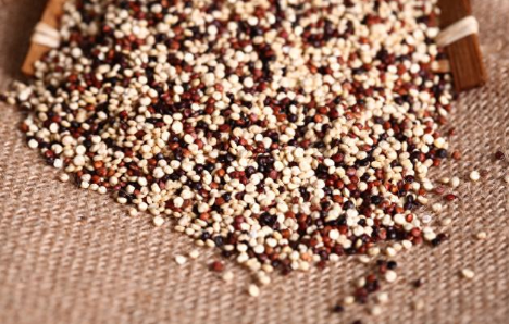 山西藜麦粉首次出口运往法国