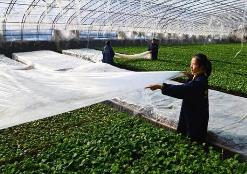 农业农村部紧急部署安排新一轮低温雨雪冰冻天气防范应对工作