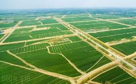 2023年山西超额完成高标准农田建设改造任务