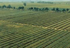 四川年内将完成国家耕地保护和粮食安全责任制“首考”