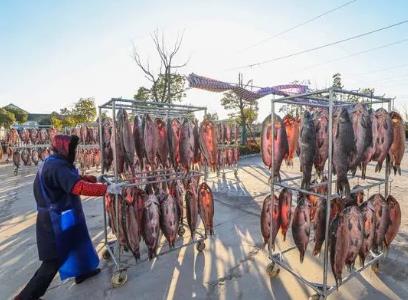 “青鱼之乡”新年迎丰收 特色养殖业助力共富