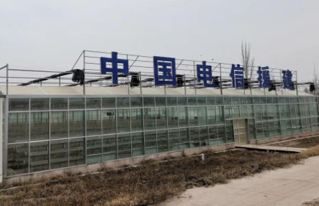 中国电信接续奋斗 书写乡村振兴新答卷