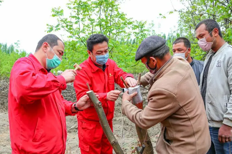 乡村振兴成果丰硕 抢险救灾冲锋在前 中国石油积极履责展现央企担当