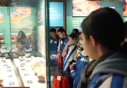 研学、科普、休闲、出游……春节近年味浓 寒假出游乐趣多