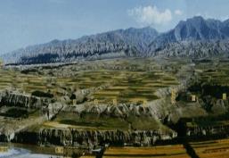 青海投入1.6亿元 实施48个文保项目