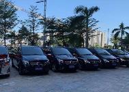 广东春节文旅“火”，深圳广州租车需求包揽前二